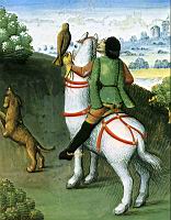 Noble chasse a l'epervier